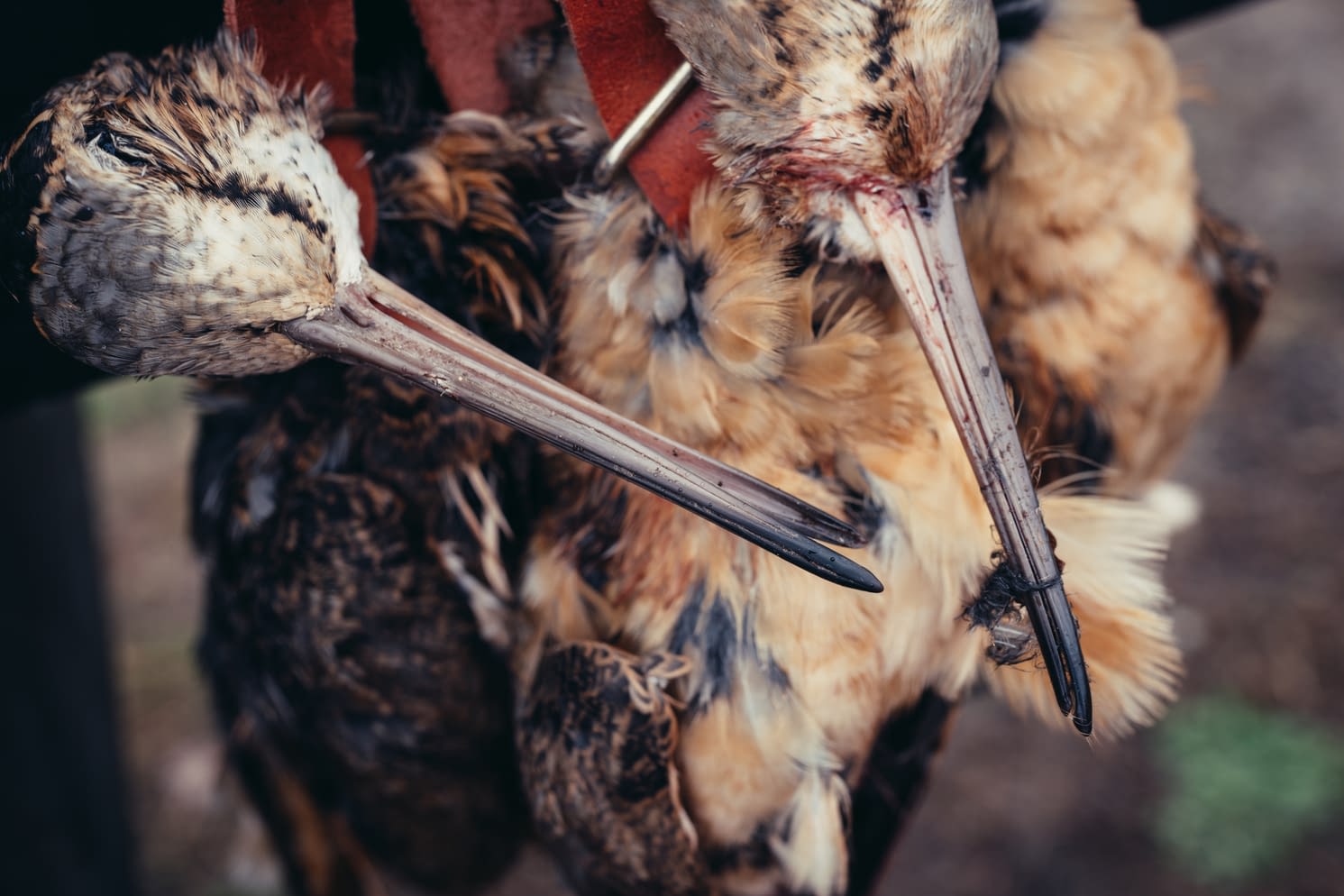 Amaazen Outdoors — photo 2