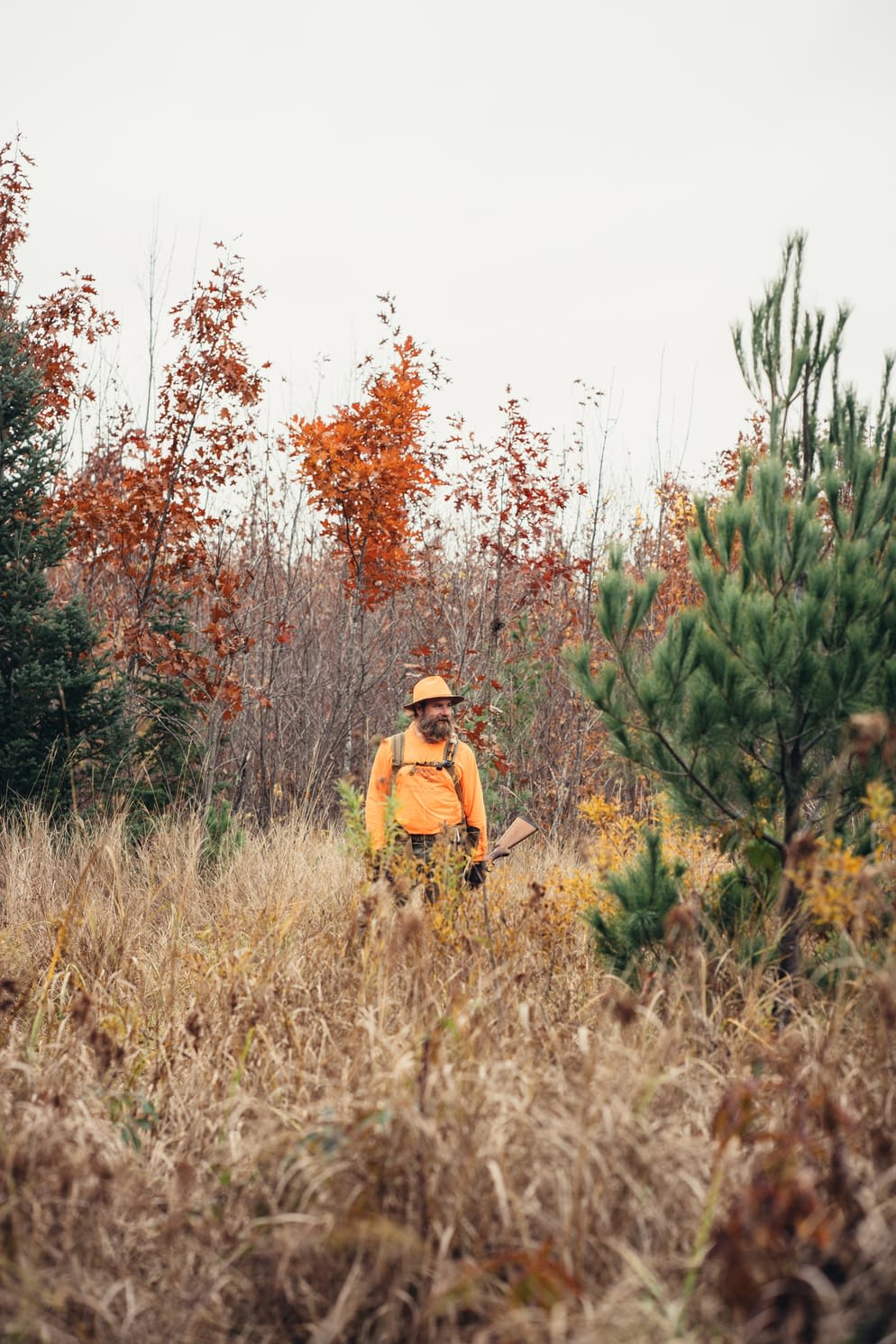 Amaazen Outdoors — photo 4