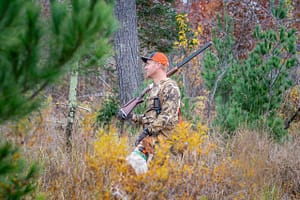 grouse hunting in wisconsin