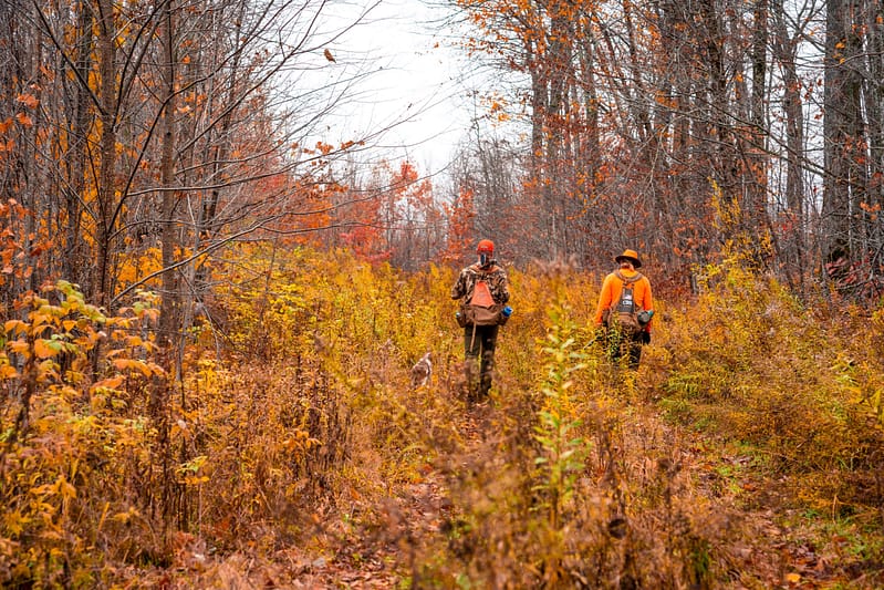 grouse hunting in wisconsin