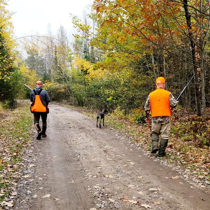 grouse hunting in wisconsin