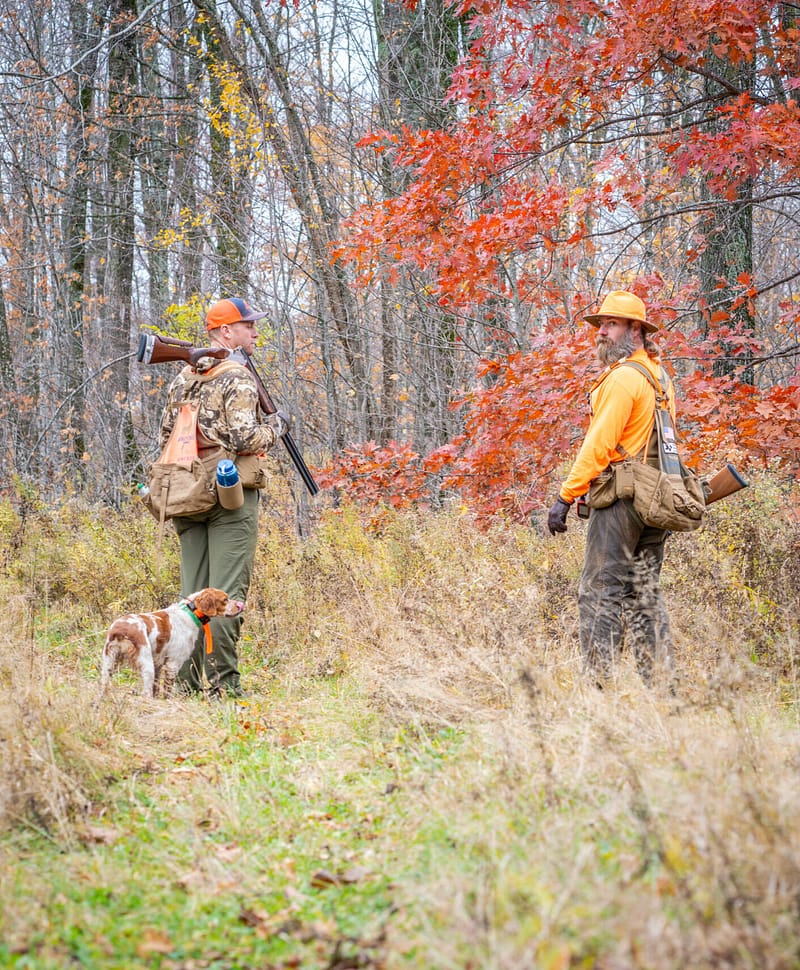 hunting dog commands
